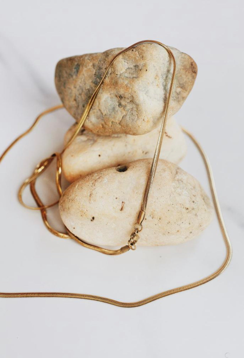 Mizou Snakebone Necklace.